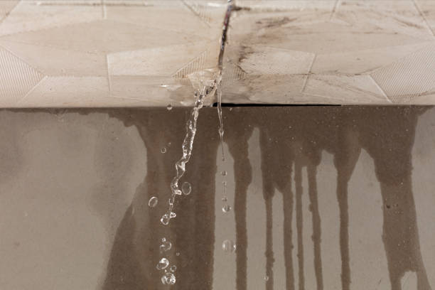 Professional Water Extraction technician working in Bowman, ND